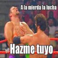 /album/imagenes-graciosas/memes-chistosos-luchadores-carinosos-jpg/