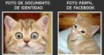 /album/imagenes-graciosas/images-jpg/